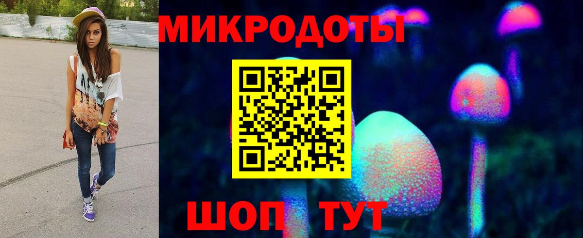Галлюциногенные грибы Psilocybine cubensis Семёнов