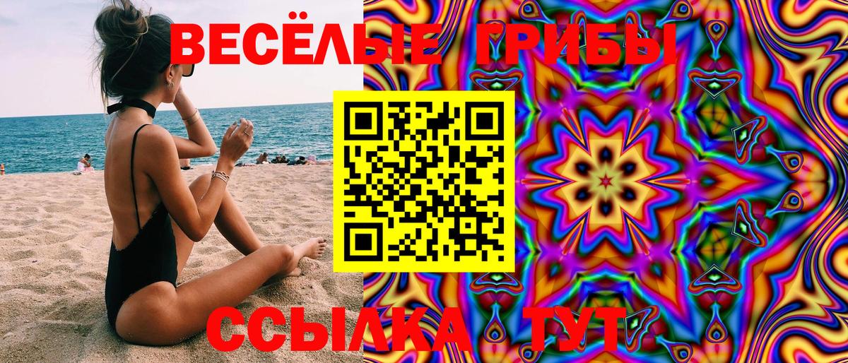 Галлюциногенные грибы Psilocybine cubensis  Вход с VPN  Семёнов 
